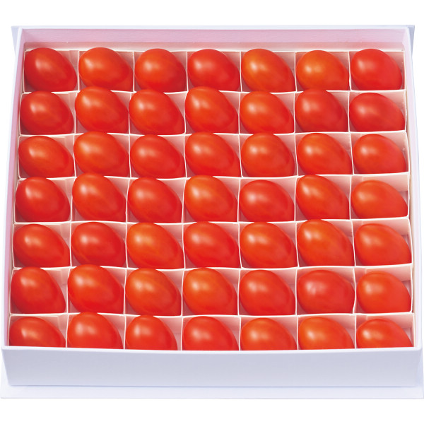 オスミック ファースト プリンセス(450┣g┫)