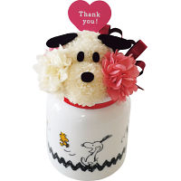 【母の日専用】お花スヌーピーＺｉｇｚａｇ　Ｔｈａｎｋ　ｙｏｕ（プリザ）