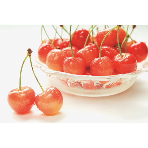 【母の日専用】ハウスさくらんぼ佐藤錦特秀３００ｇとカーネのサムネイル画像2