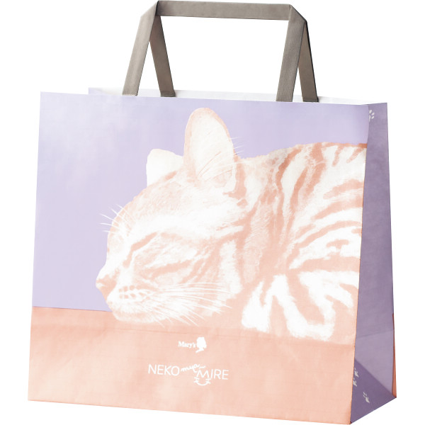 メリーチョコレート　にゃそーてっどチョコレートのサムネイル画像1