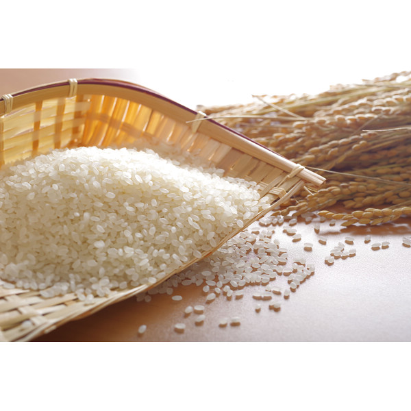 熊本県産　くまさんの輝き５ｋｇのサムネイル画像2