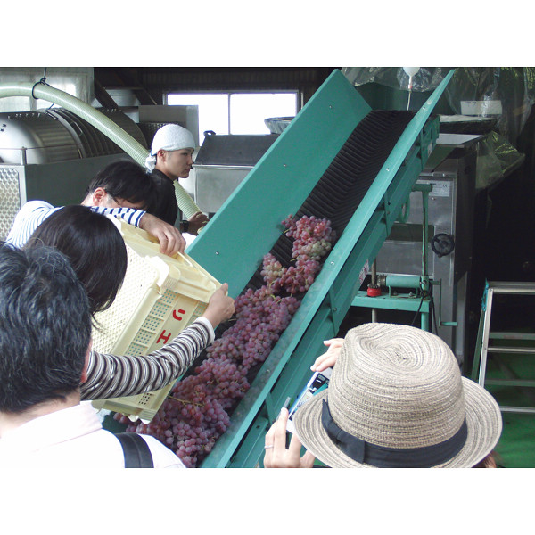 【母の日専用】山梨クラフトＭｙワインオーナー＋名入れワイングラス付き２名様　プラのサムネイル画像1