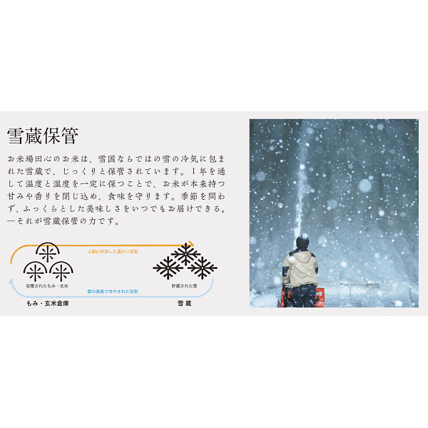 新潟県産　雪蔵こしひかり１０ｋｇのサムネイル画像2