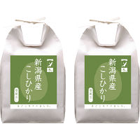 新潟県産 雪蔵こしひかり10kg