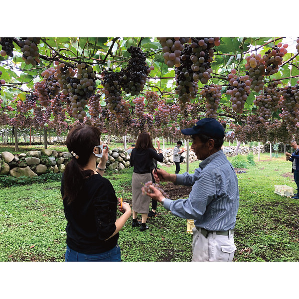 【父の日専用】山梨クラフトＭｙワインオーナー＋名入れワイングラス付き２名様　プラのサムネイル画像1