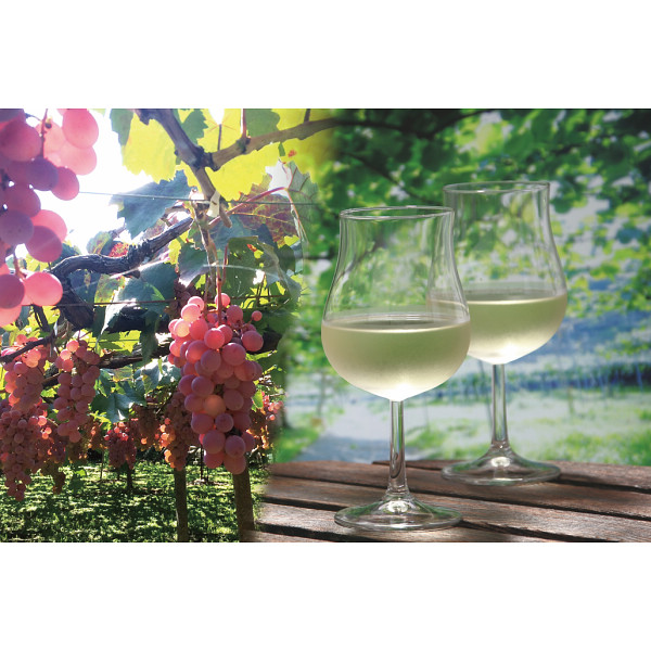 【父の日専用】山梨クラフトＭｙワインオーナー＋名入れワイングラス付き２名様　プラのサムネイル画像3