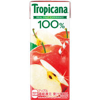 トロピカーナ１００％アップル（２４個）