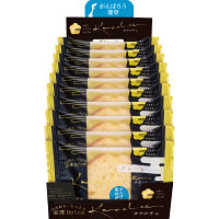 カナルチェ　プレーンケーキ（１０個）