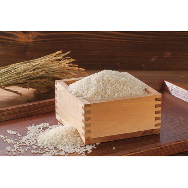 【ＷＥＢ限定】山形県産　つや姫１２ｋｇのサムネイル画像1