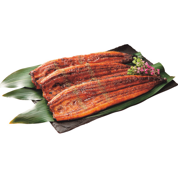 鰻楽 九州産 特大うなぎ蒲焼(3尾)