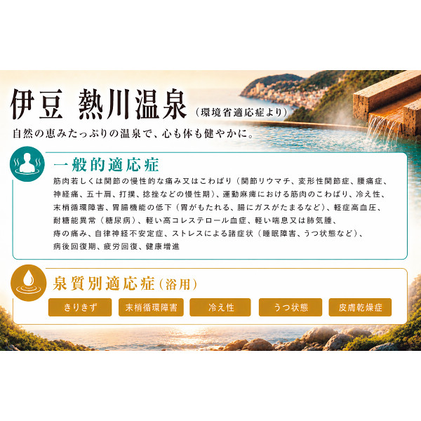 伊豆　熱川温泉　温泉ギフト　温泉宅配　名湯をご自宅で　（ＢＯＸ２０ｌ）　送料無料のサムネイル画像4