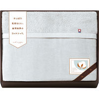 今治さらふわタオル毛布（衿付き） グレー 