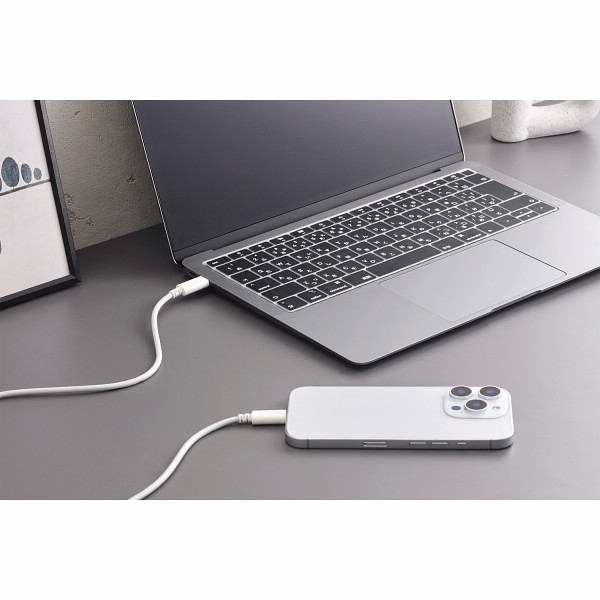 エレコム　２４０Ｗ　ＵＳＢ　Ｔｙｐｅ－Ｃ　ケーブル ホワイトのサムネイル画像1